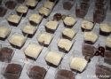 OSTSEEFLUG_USEDOM_2026_c_LOTTE_WEBER-79.jpg