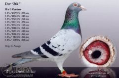 Zuchtpaar-6a-2026.jpeg